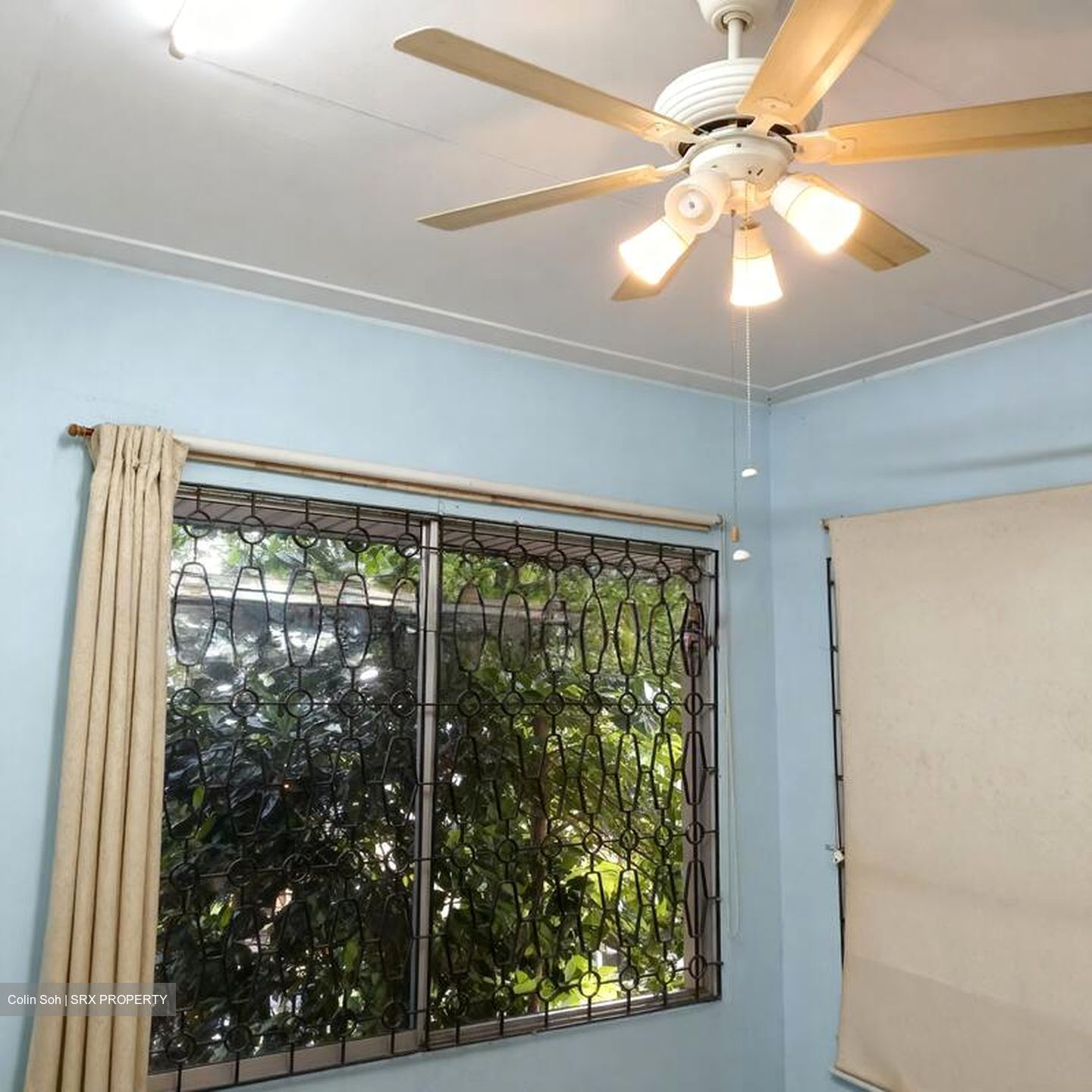 South Buona Vista Road (D5), Semi-Detached #495982801